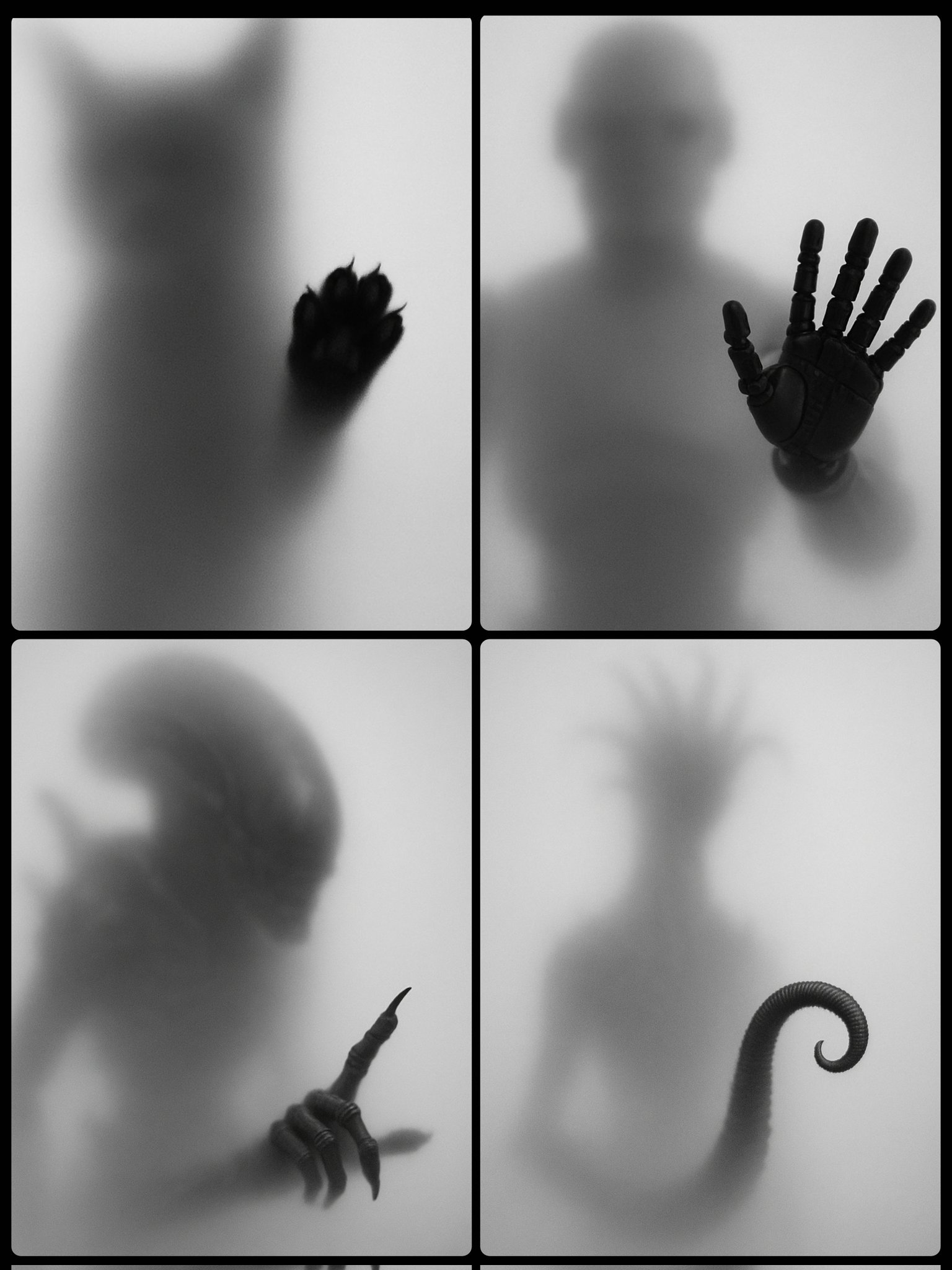 Frosted Blurred Silhouettes