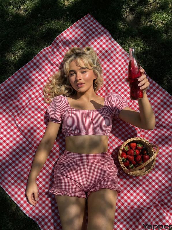 Vintage Picnic Blanket Striped Puff Sleeve Top-Down Nostalgic Summer Portrait