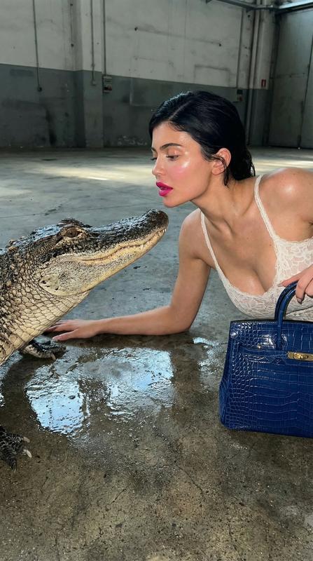 Alligator Interaction Industrial Flash Bold Fashion Editorial Portrait