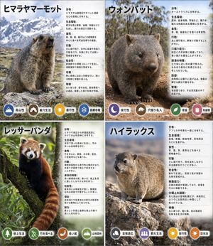 Animal Infographic Grid