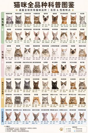 Cat Breed Encyclopedia