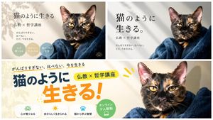 Banner Design Variations