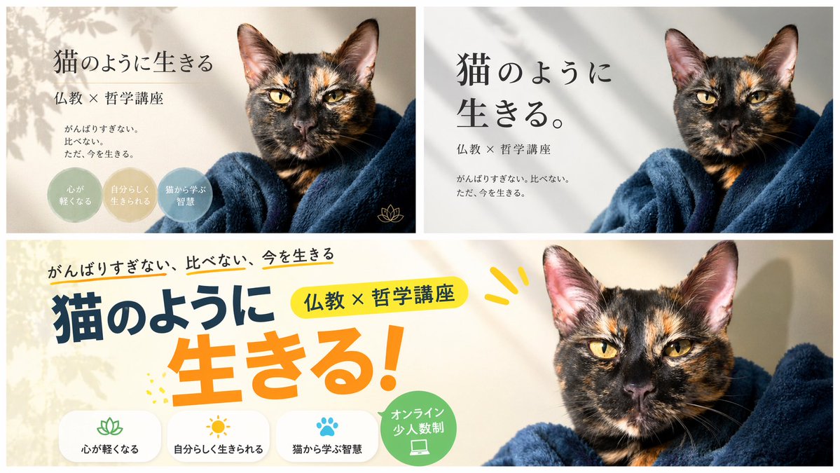 Banner Design Variations