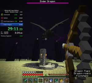 Ender Dragon Battle Screenshot
