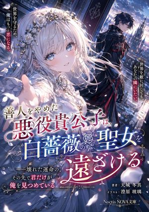 Light Novel Cover Illustration