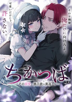 Light Novel Cover Illustration