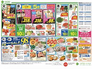 Japanese Supermarket Flyer