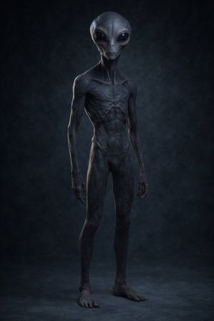 Alien in the Ravine