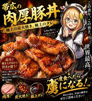 Japanese Spicy Pork Rice Bowl Advertisement