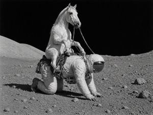 Surreal Moon Rider