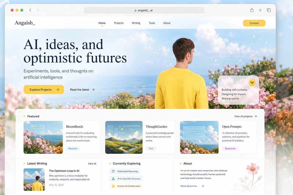 Optimism Portfolio