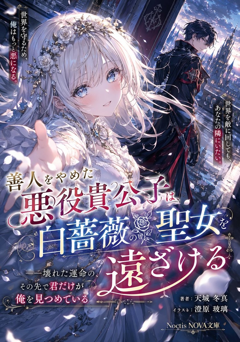 Light Novel Cover Illustration