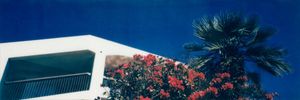 Lone Palm Desert Dunes
