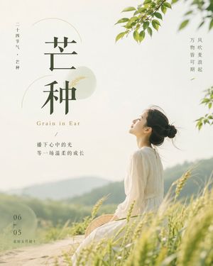 芒种节气海报