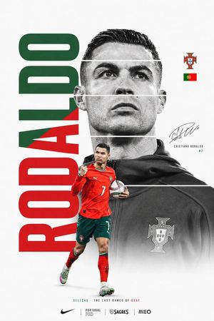 FIFA 世界杯极简海报