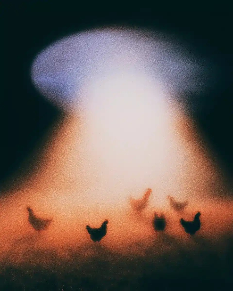 Vintage Sci-Fi Saucer Chickens