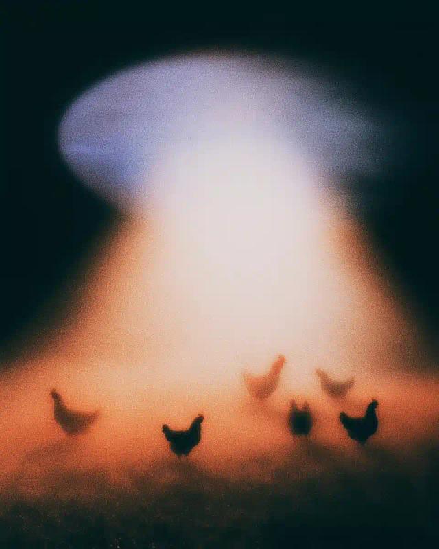 Vintage Sci-Fi Saucer Chickens