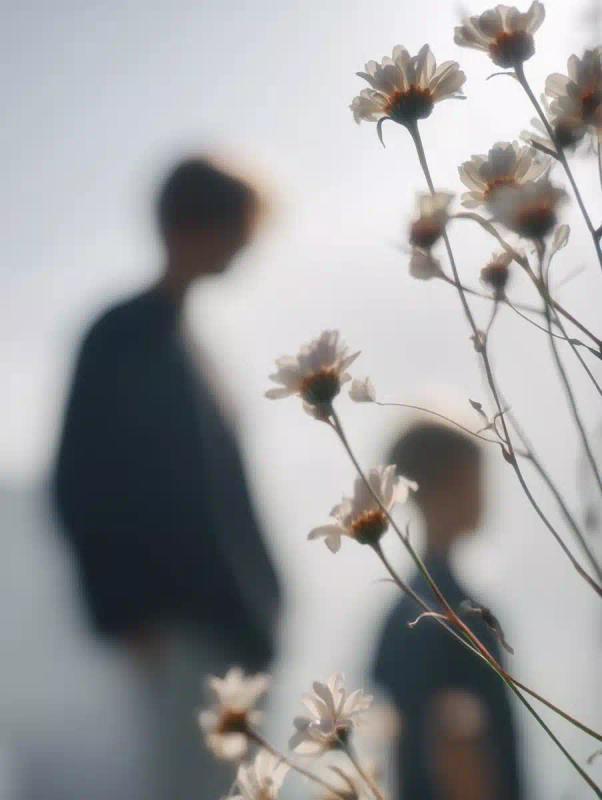 Blurred Flowers Minimalist Shot