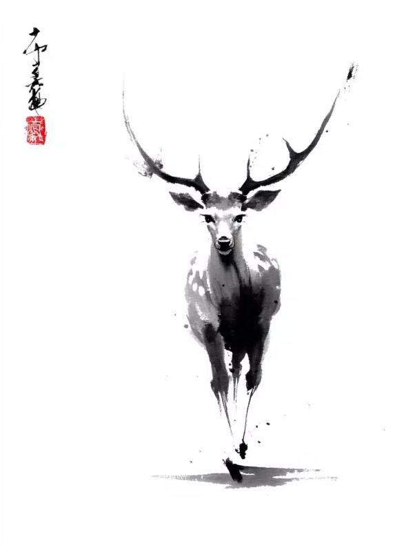 Sika Deer in Ink