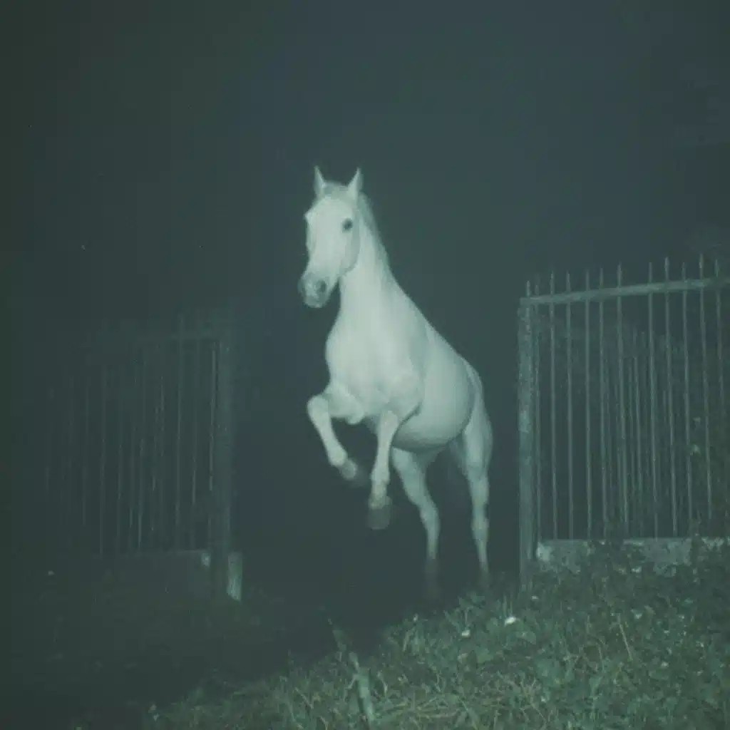 Cinematic White Horse Leap