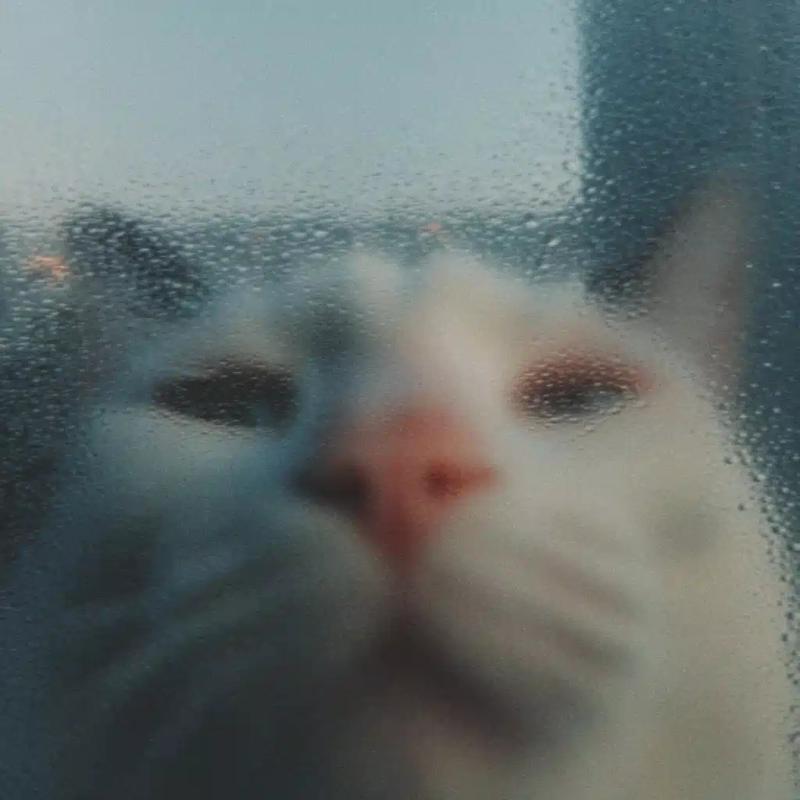 Hyper-Realistic Cat Portrait