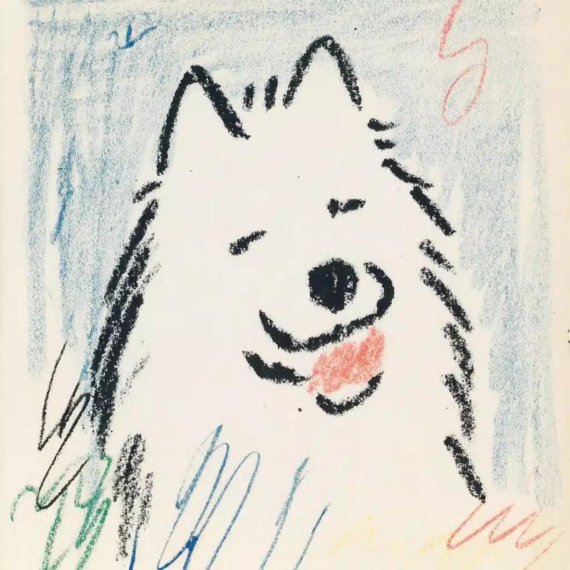 Hand-Drawn Samoyed Close-Up