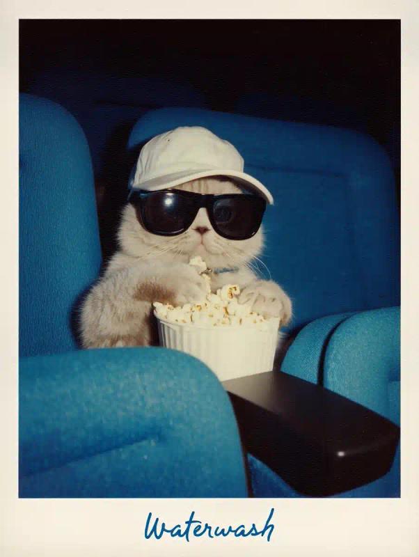 Retro Cat in Theater