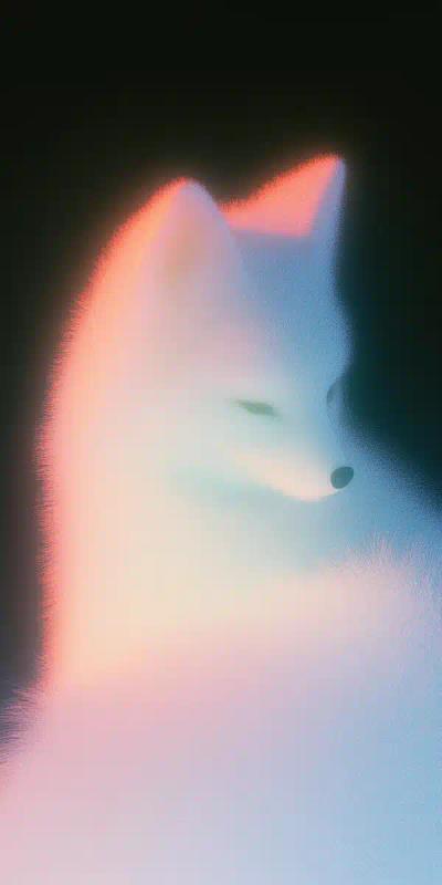 Colorful Snow Fox Vector