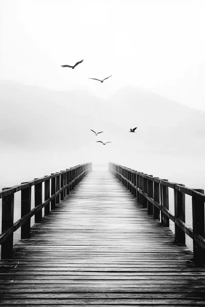 Minimalist Black and White Pier