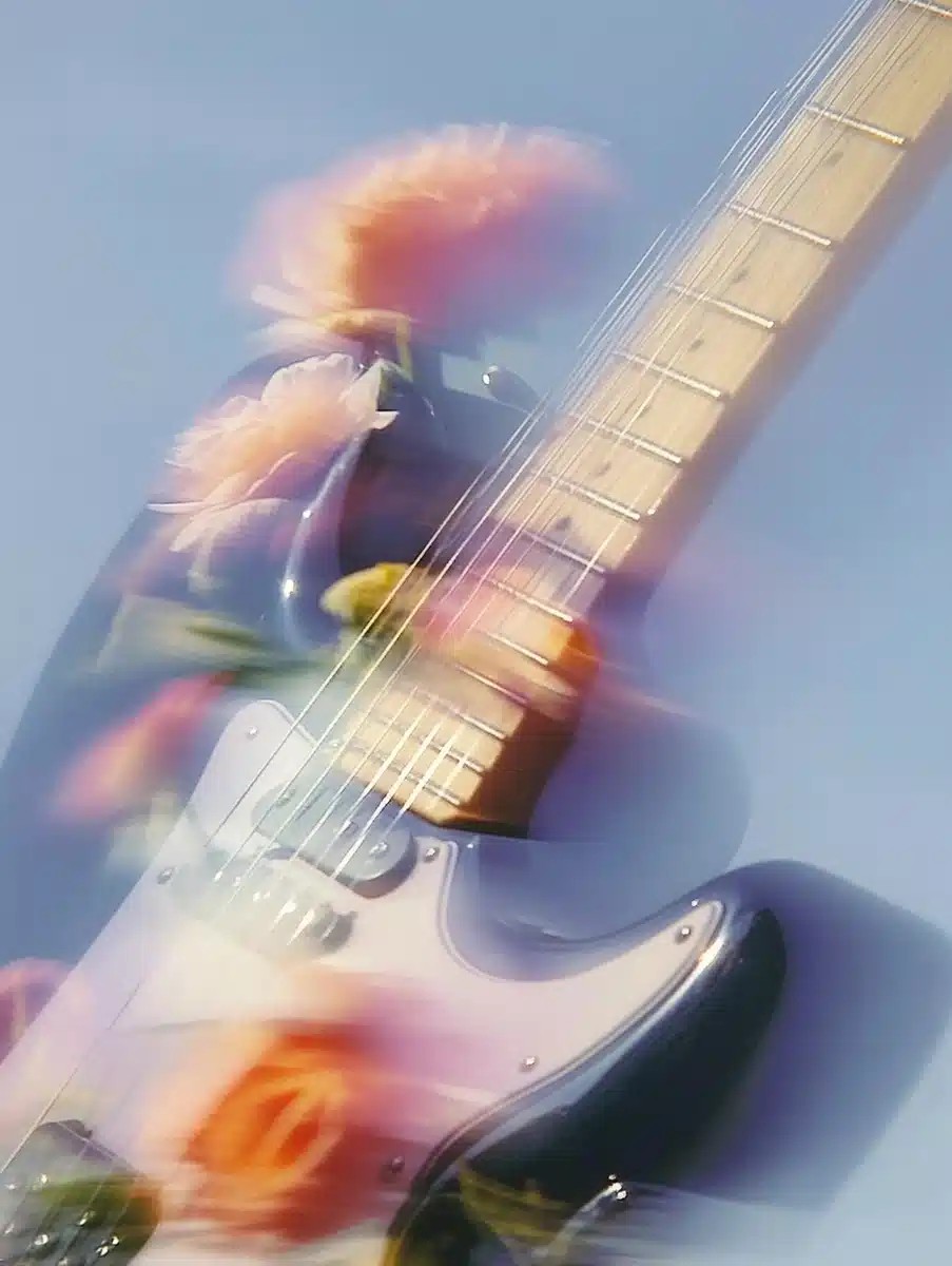 Transparent Guitar with Toadstools
