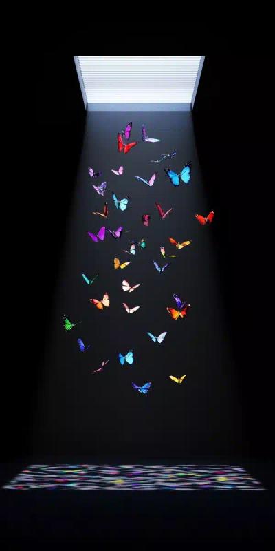 Colorful Butterflies Under Skylight