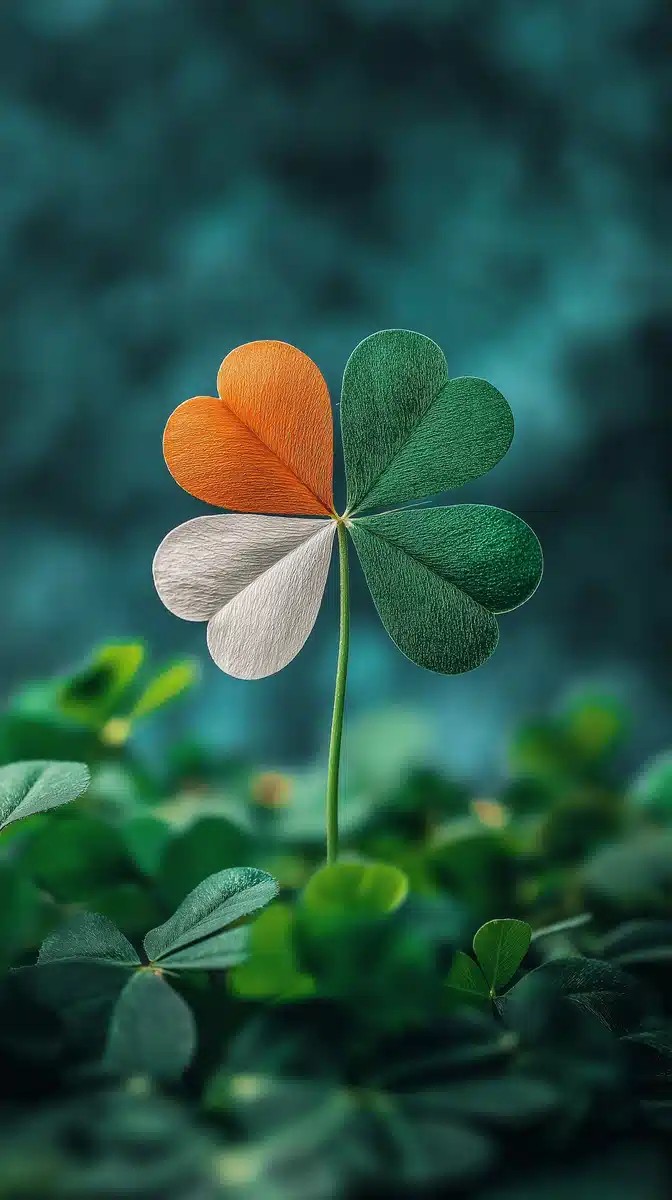 Irish Clover Photography Close-Up
