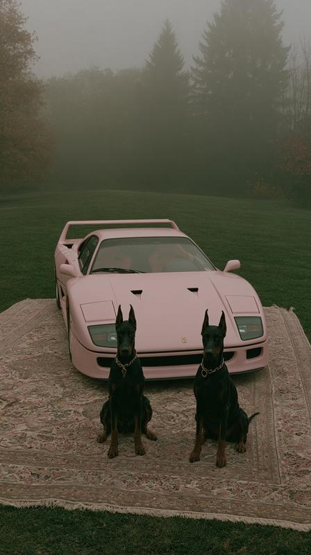 Pink Ferrari