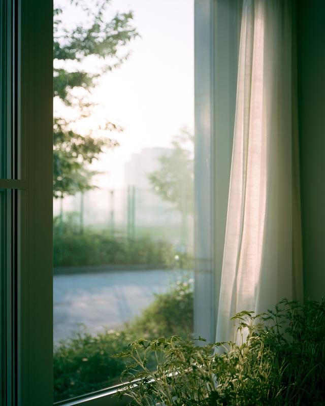 Hopeful Horizon