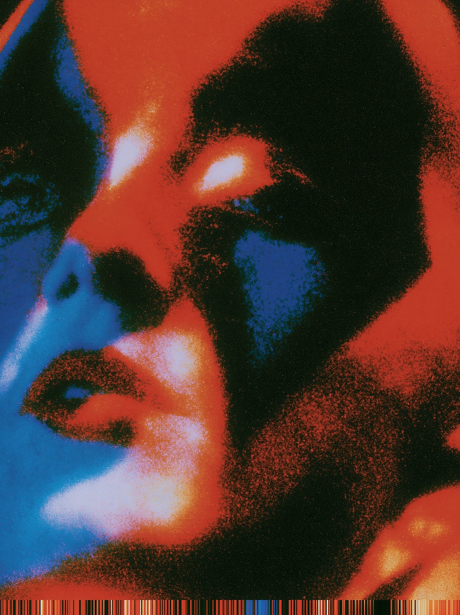 inverted thermographic close-up of a harlequin face tilted up...