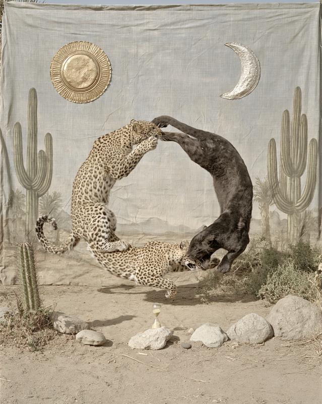 35mm film photography surreal desert tableau centered symmetrical composition...