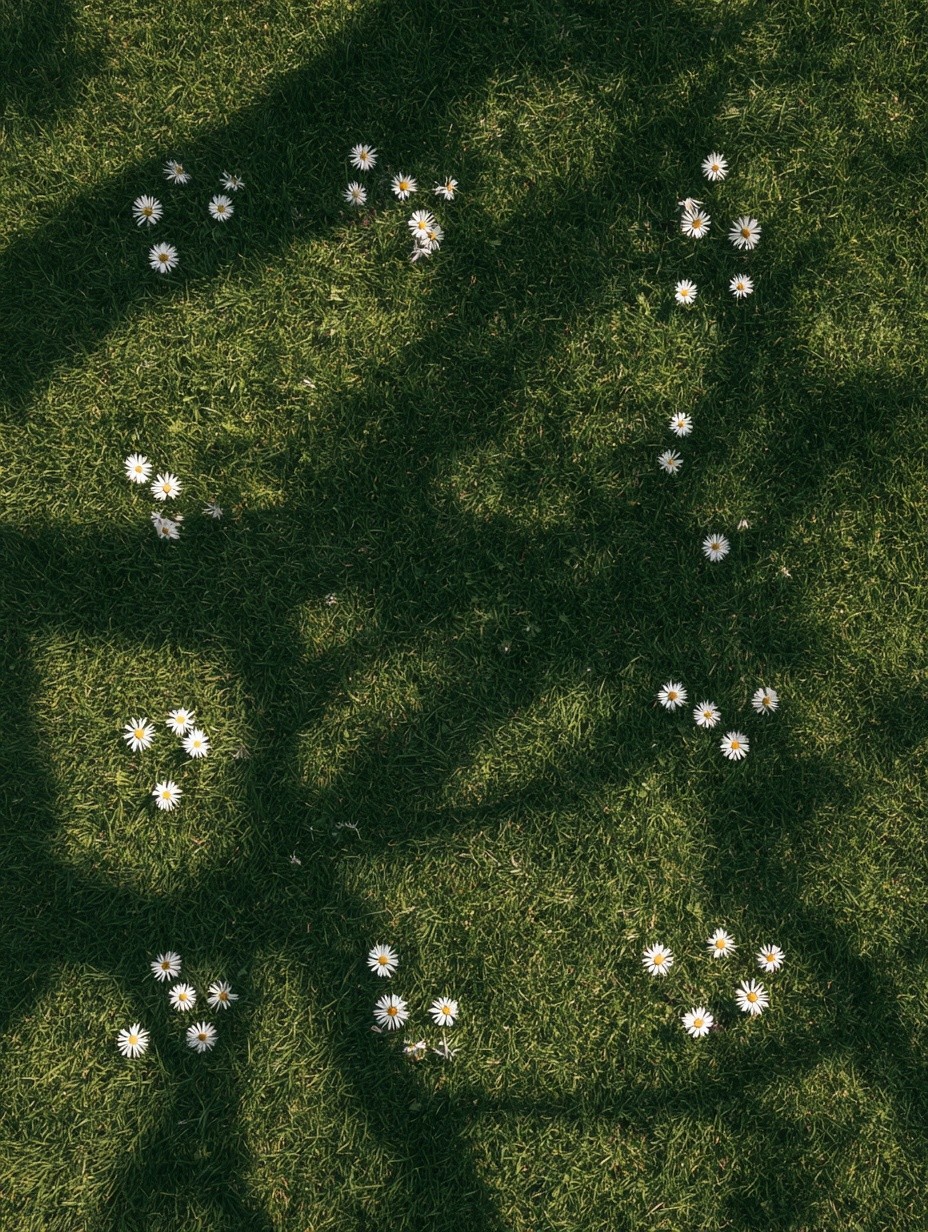 Minimal overhead nature photo of grass and wildflowers scattered...