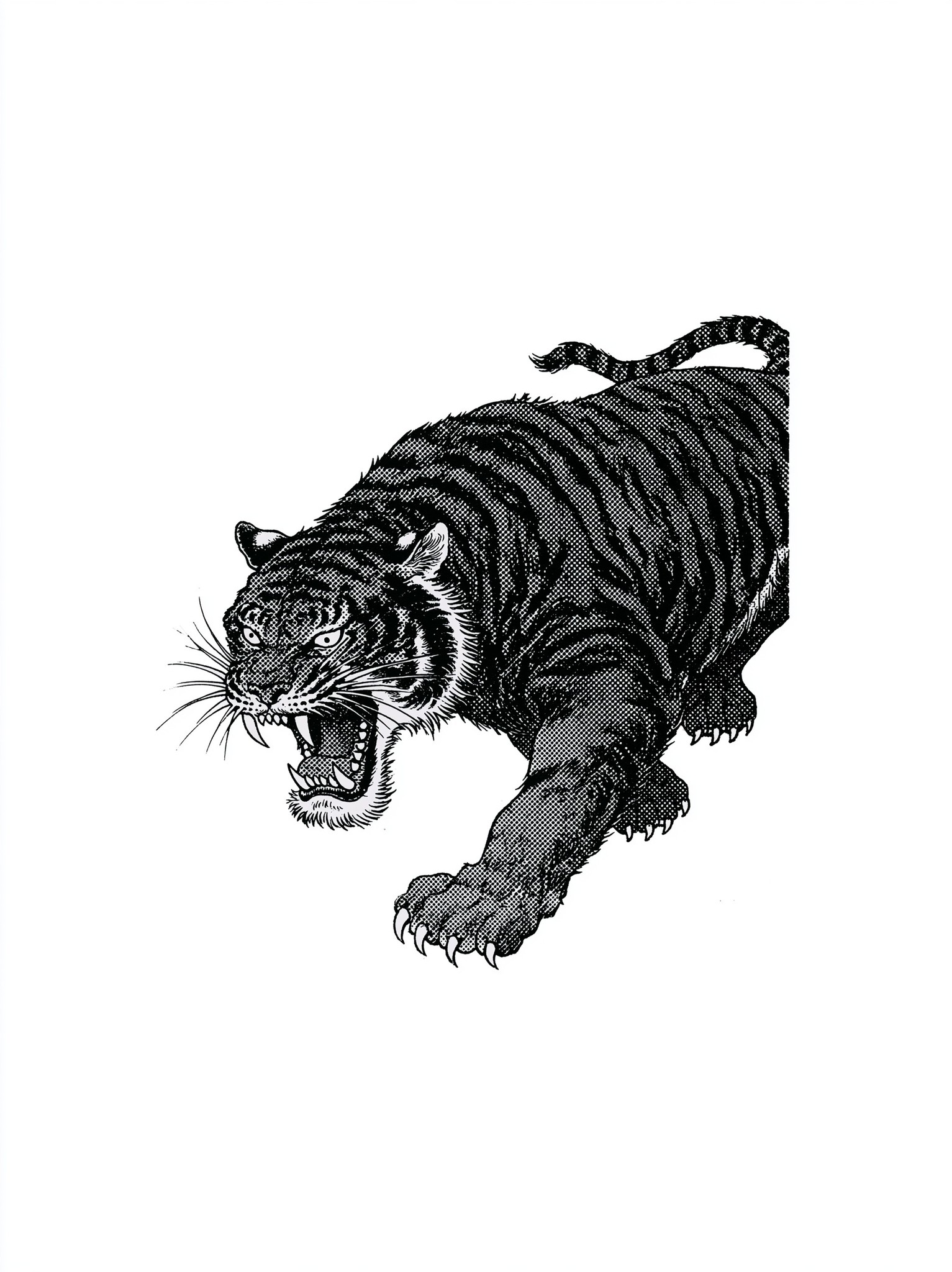 vintage pen and ink editorial illustration a tiger pouncing...
