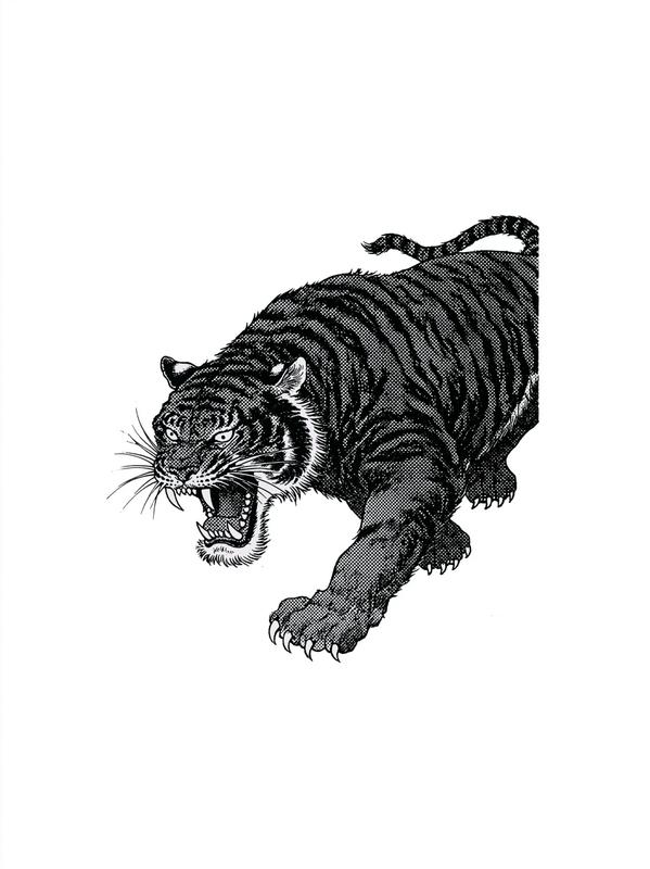 vintage pen and ink editorial illustration a tiger pouncing...