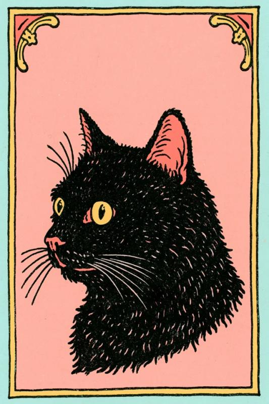 A cat nft side profile pfp...