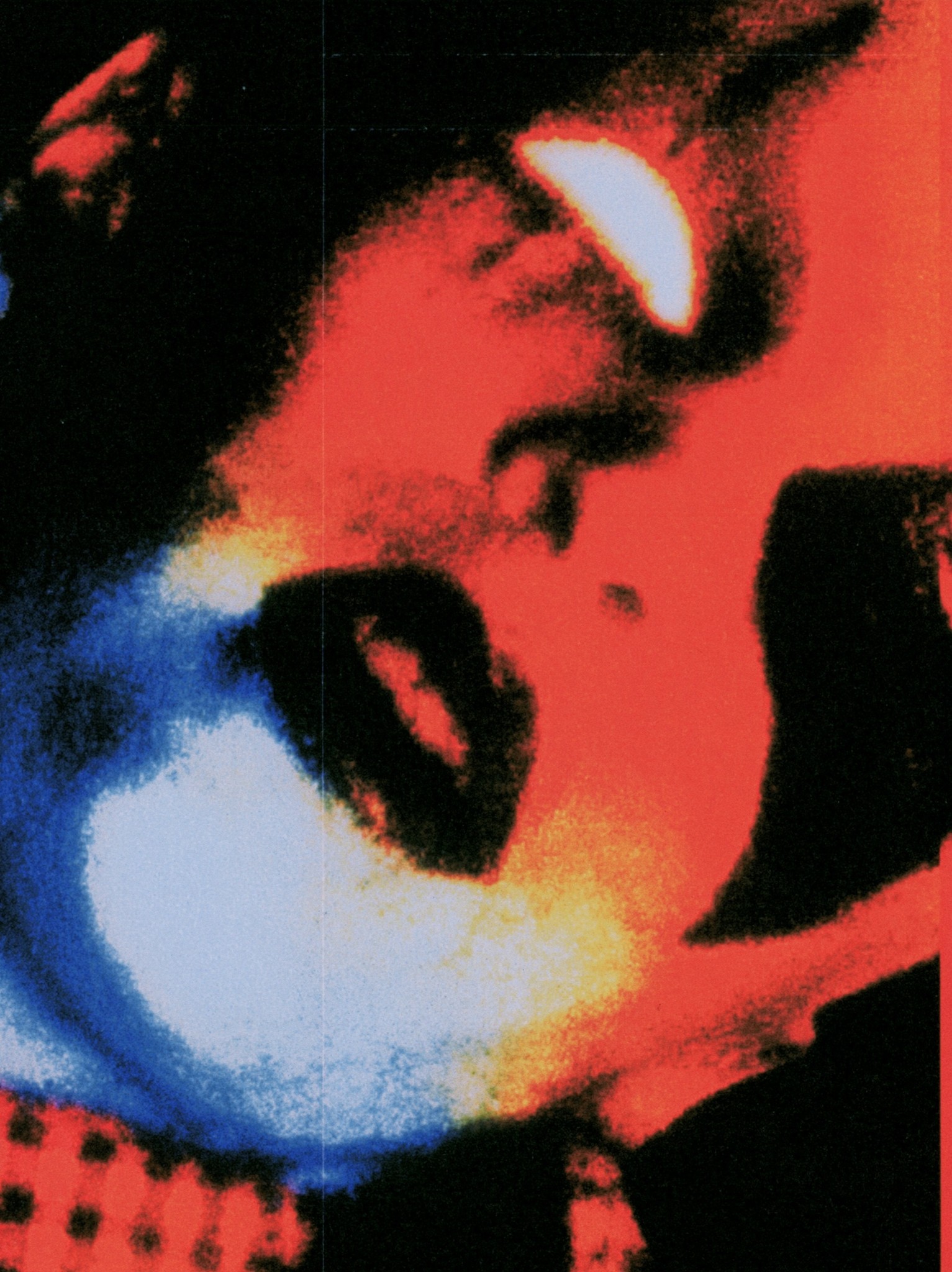 inverted thermographic close-up of a harlequin face tilted up...