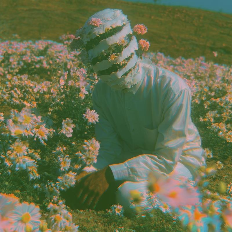a lone figure kneeling in a blooming flower field...