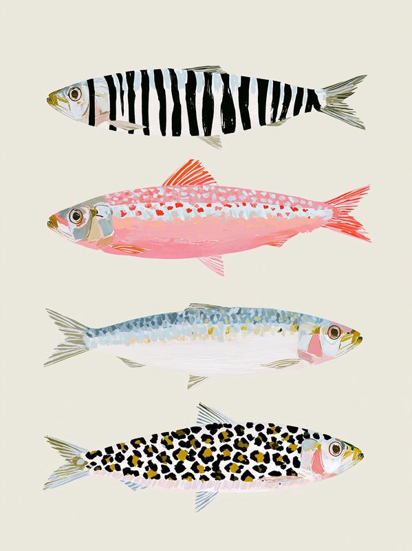 Minimalist vector of three different sardines one with zebra...