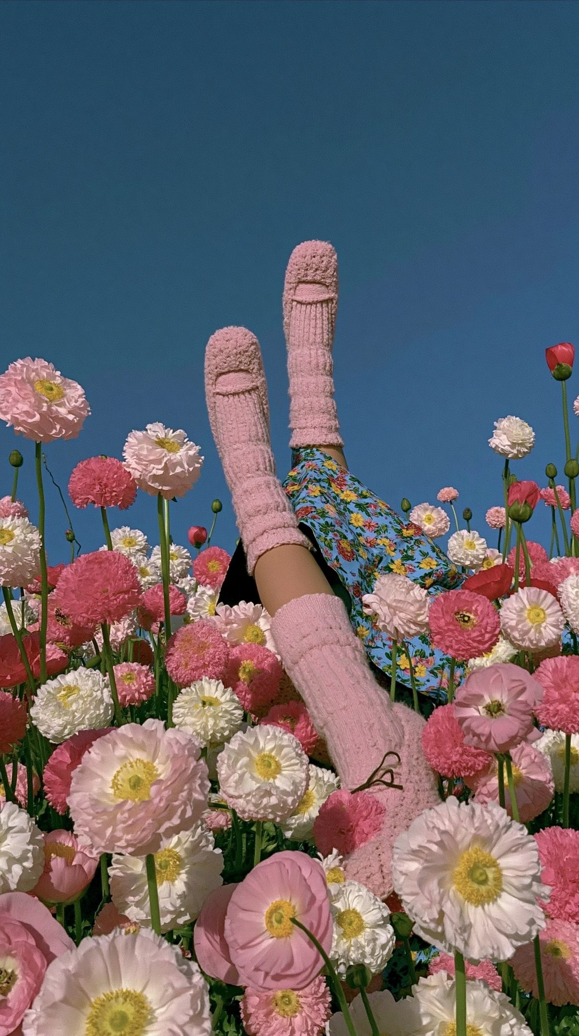 dancing in a pastel dream strange garden soft apocalypse...