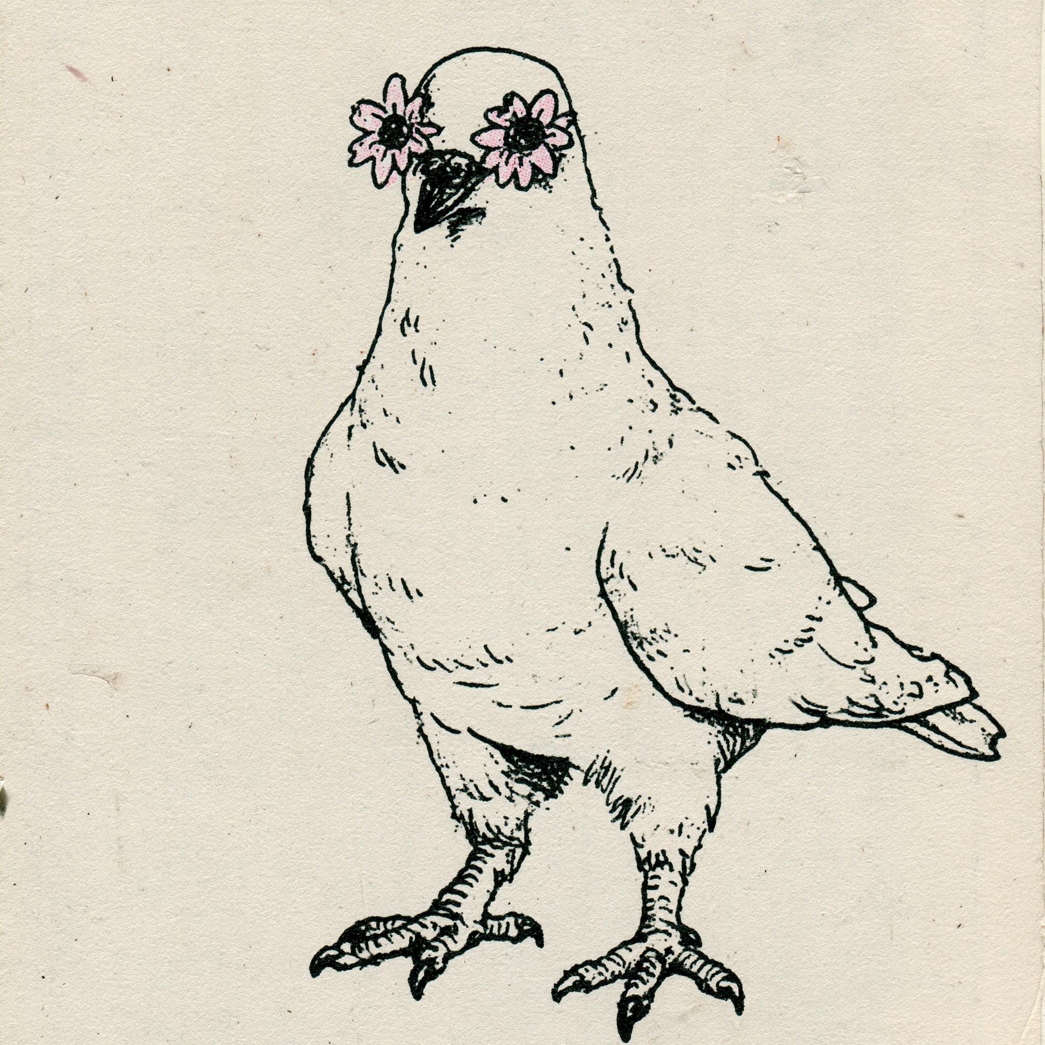 scrappy dove character with flower eyes looks like an...