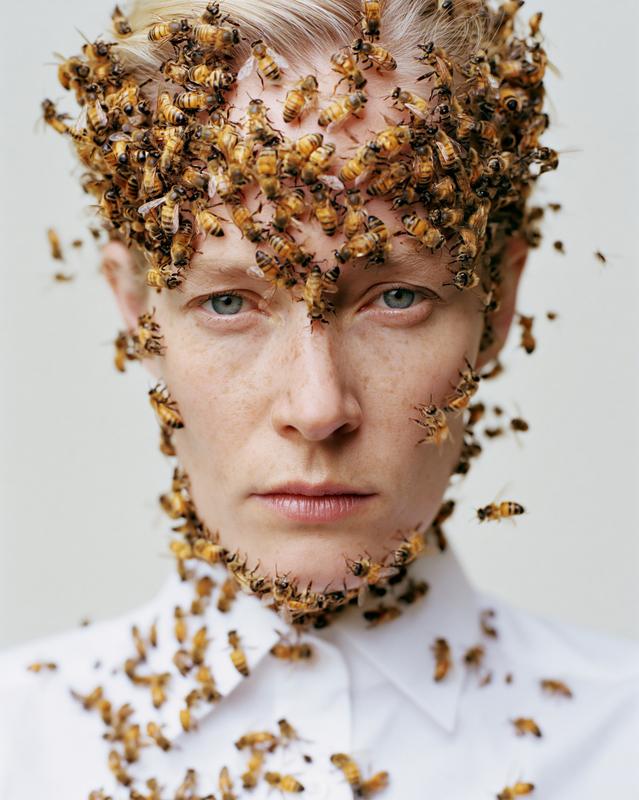 Award winning photo of a woman looking directly into...