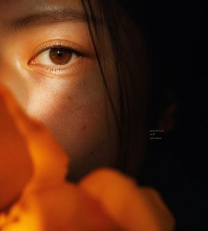 亲密花卉微距肖像