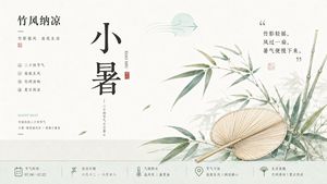 中式美学二十四节气插画