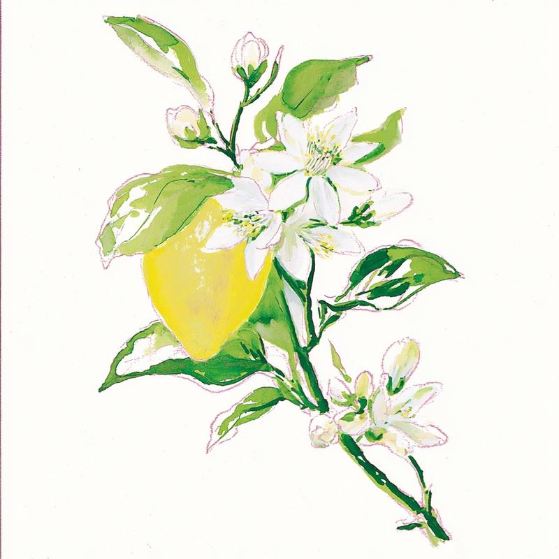 A graceful lemon branch with one ripe yellow lemon...