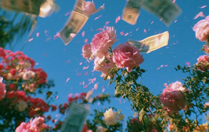 motion blur flowers garden in bg cash and money...